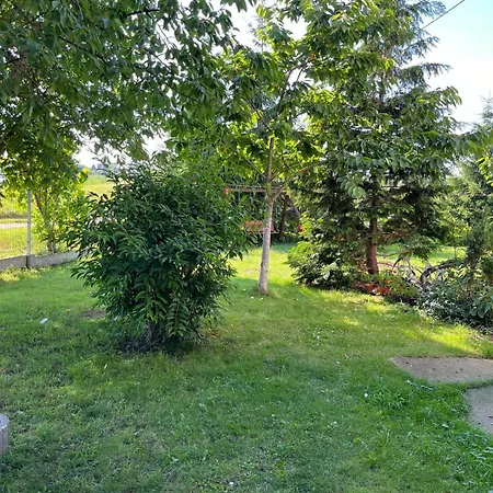 Pokoje Goscinne Jak W Domu Hanna Kucharska Sztutowo Exterior photo